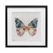 Stupell Industries Floral Flight Butterfly Wings Framed Print Under Glass, design by Nicole DeCamp